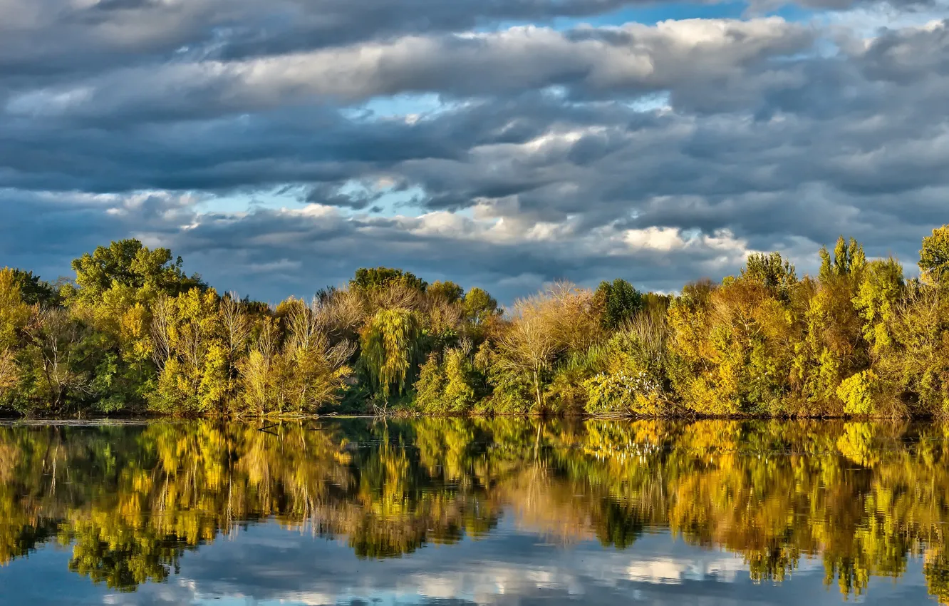 Photo wallpaper trees, lake, reflection