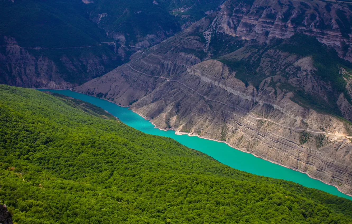 Photo wallpaper greens, forest, the sky, river, mountain, beauty, canyon, Dagestan