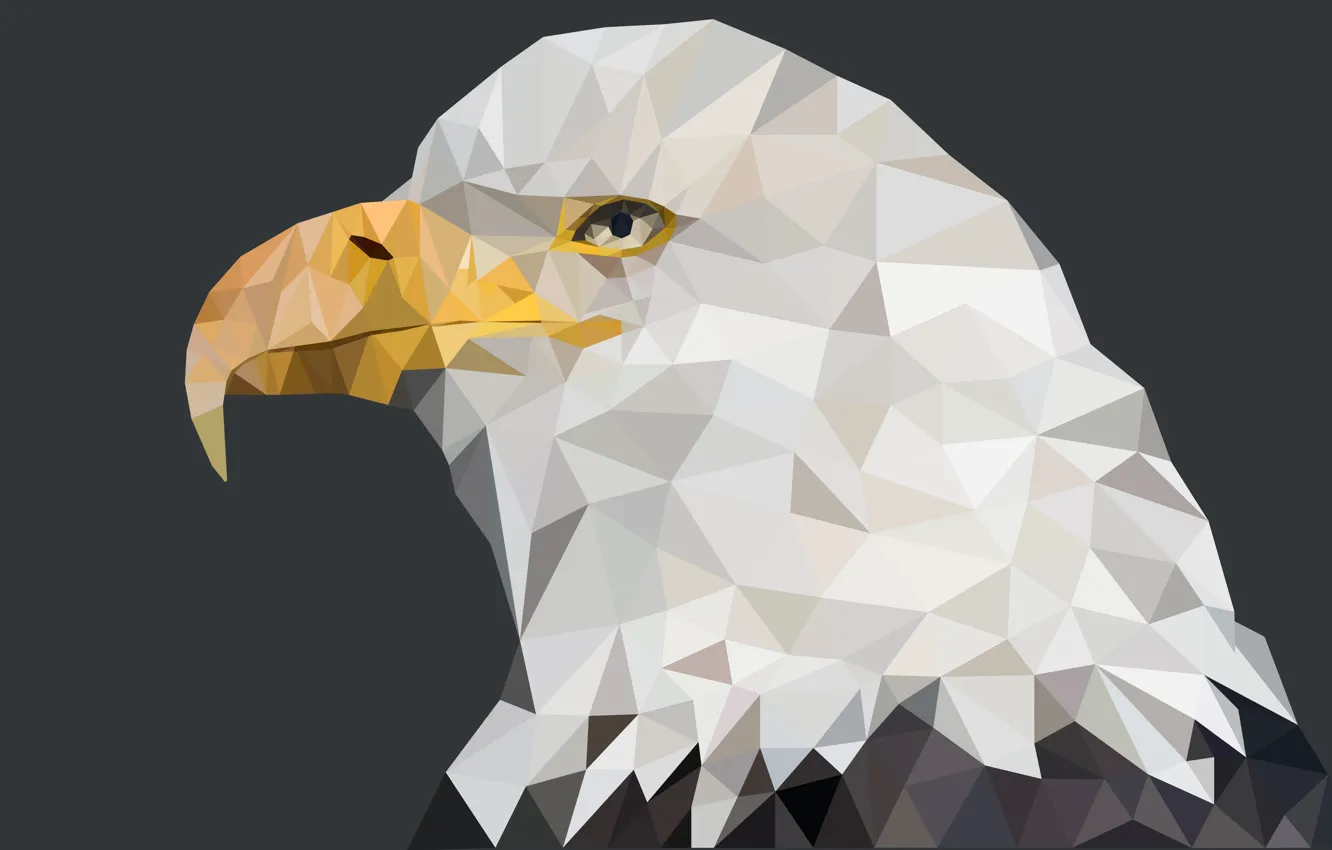 Photo wallpaper america, eagle, beast, geometric