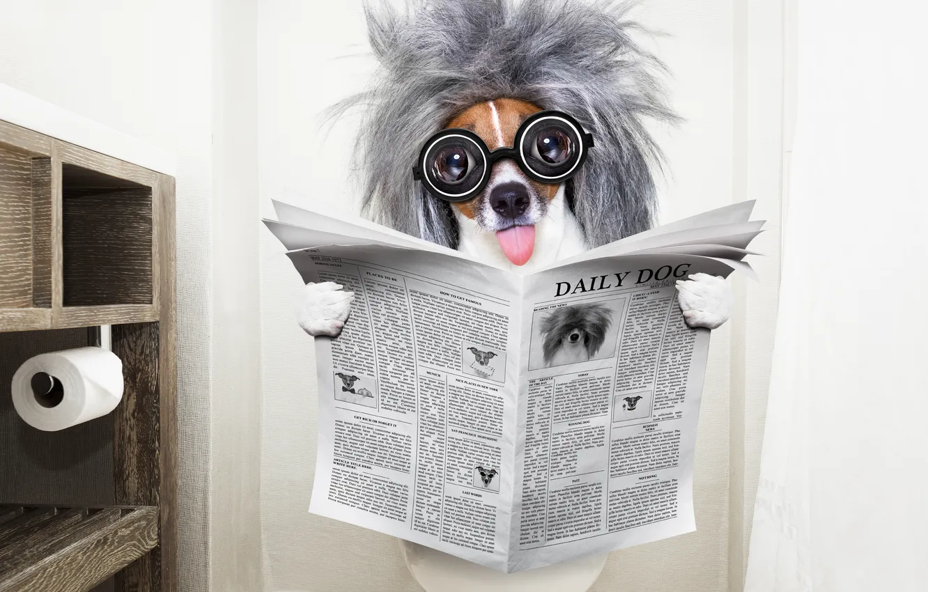 Photo wallpaper Comedian, dog, glasses, newspaper