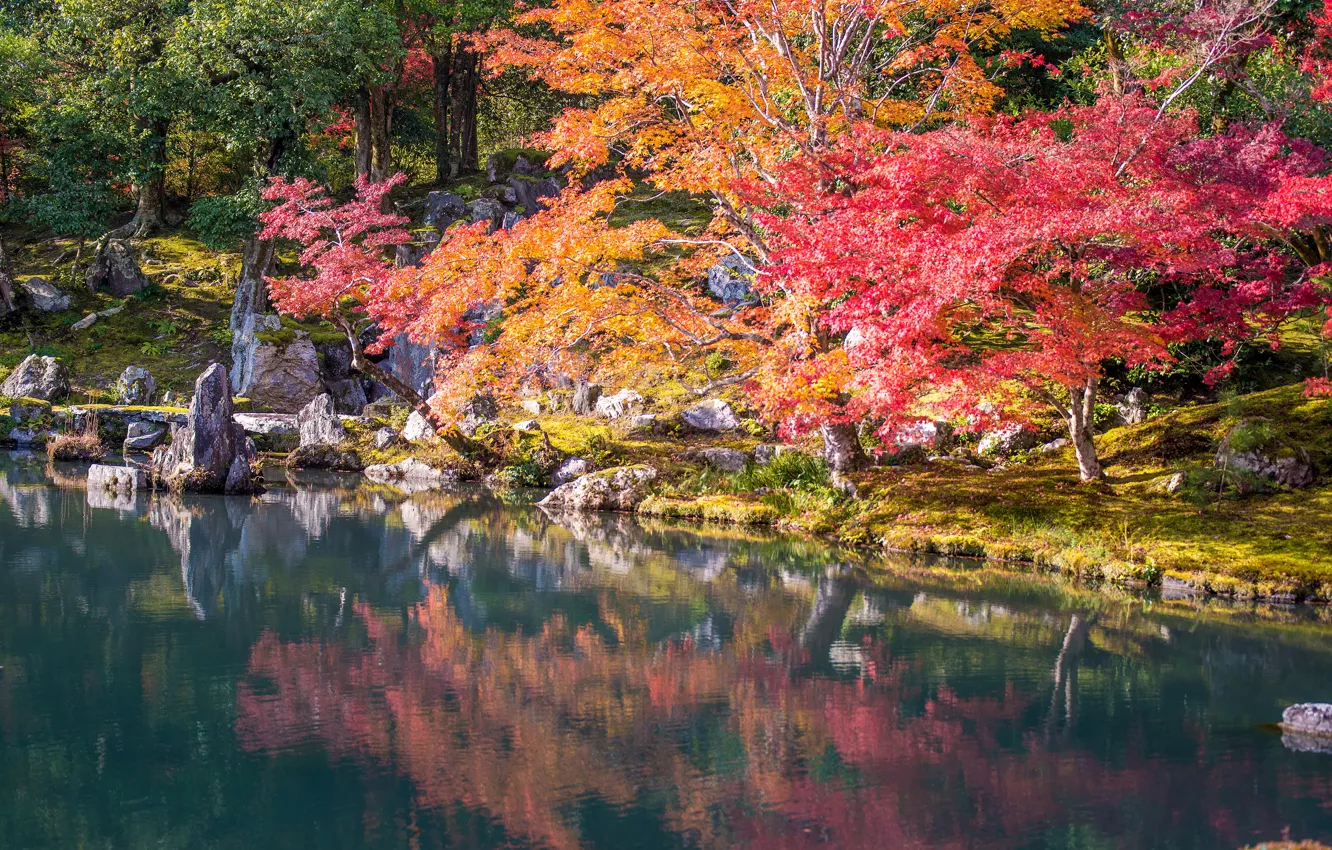 Photo wallpaper autumn, the sun, trees, pond, Park, stones, Japan, Kyoto