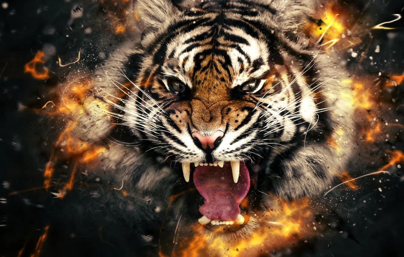 Photo wallpaper tiger, fire, head
