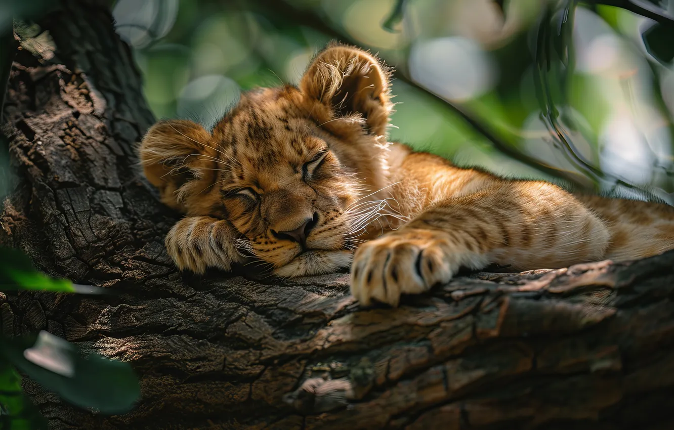 Photo wallpaper predator, Leo, sleeping, cub, kitty, digital art, AI art, The Art of Artificial Intelligence