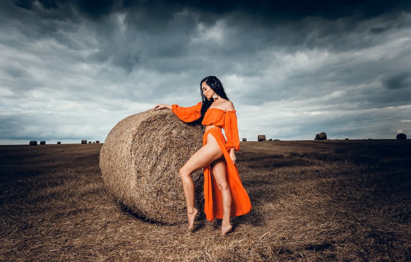 Photo wallpaper field, girl, pose, skirt, brunette, the cut, hay, legs