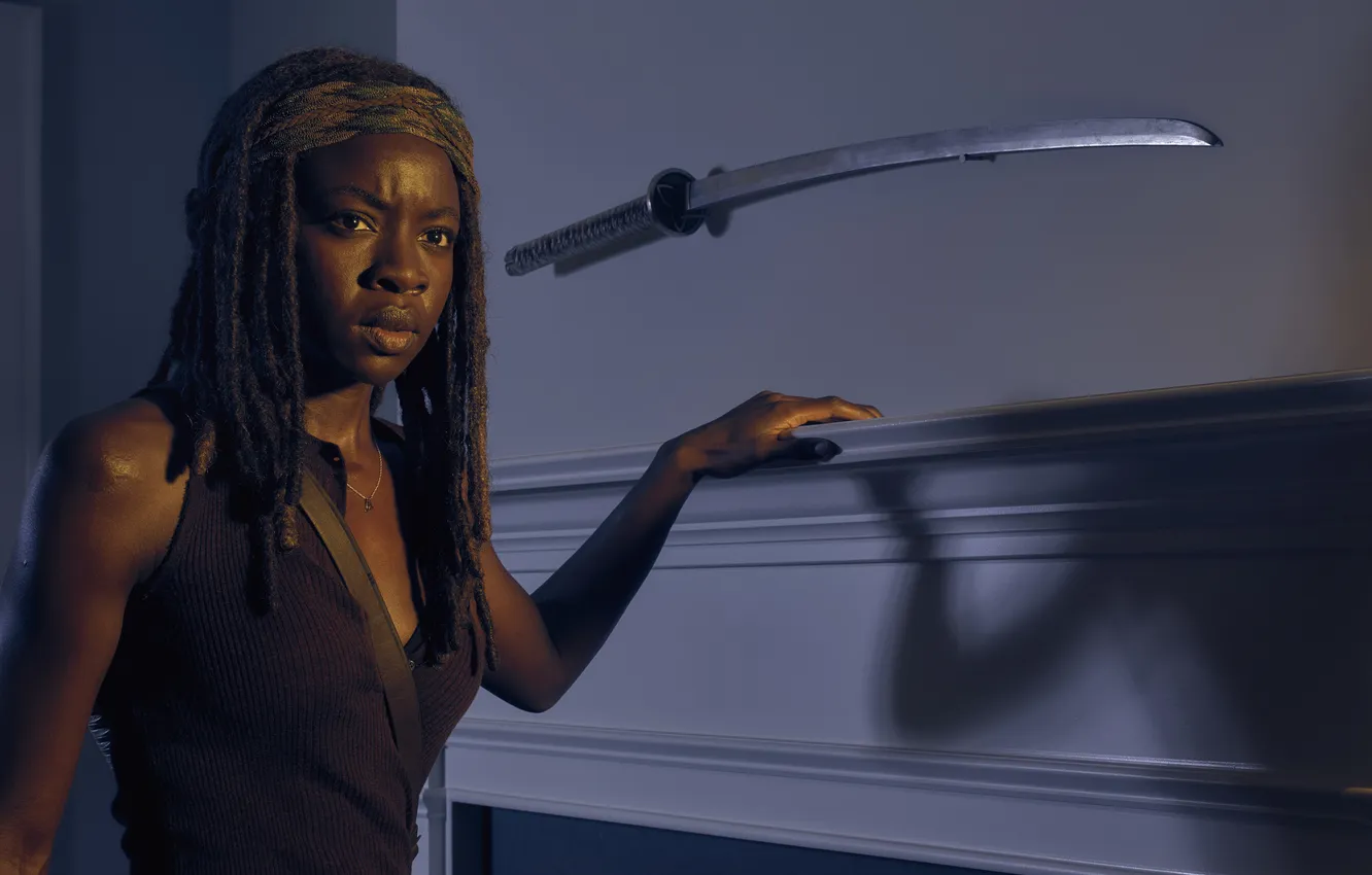 Photo wallpaper The Walking Dead, The walking dead, Michonne, Danai Gurira