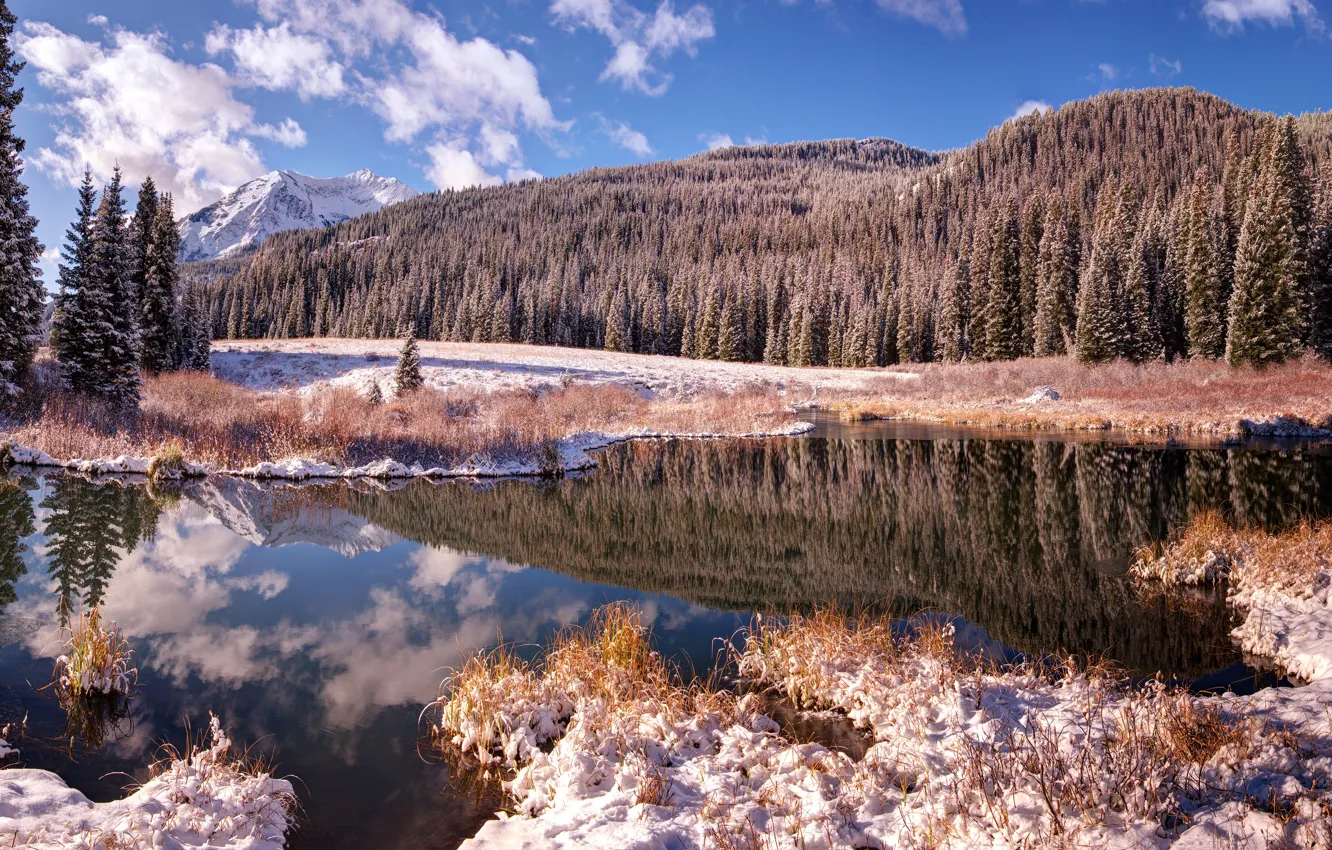 Photo wallpaper winter, frost, forest, the sky, grass, clouds, snow, mountains