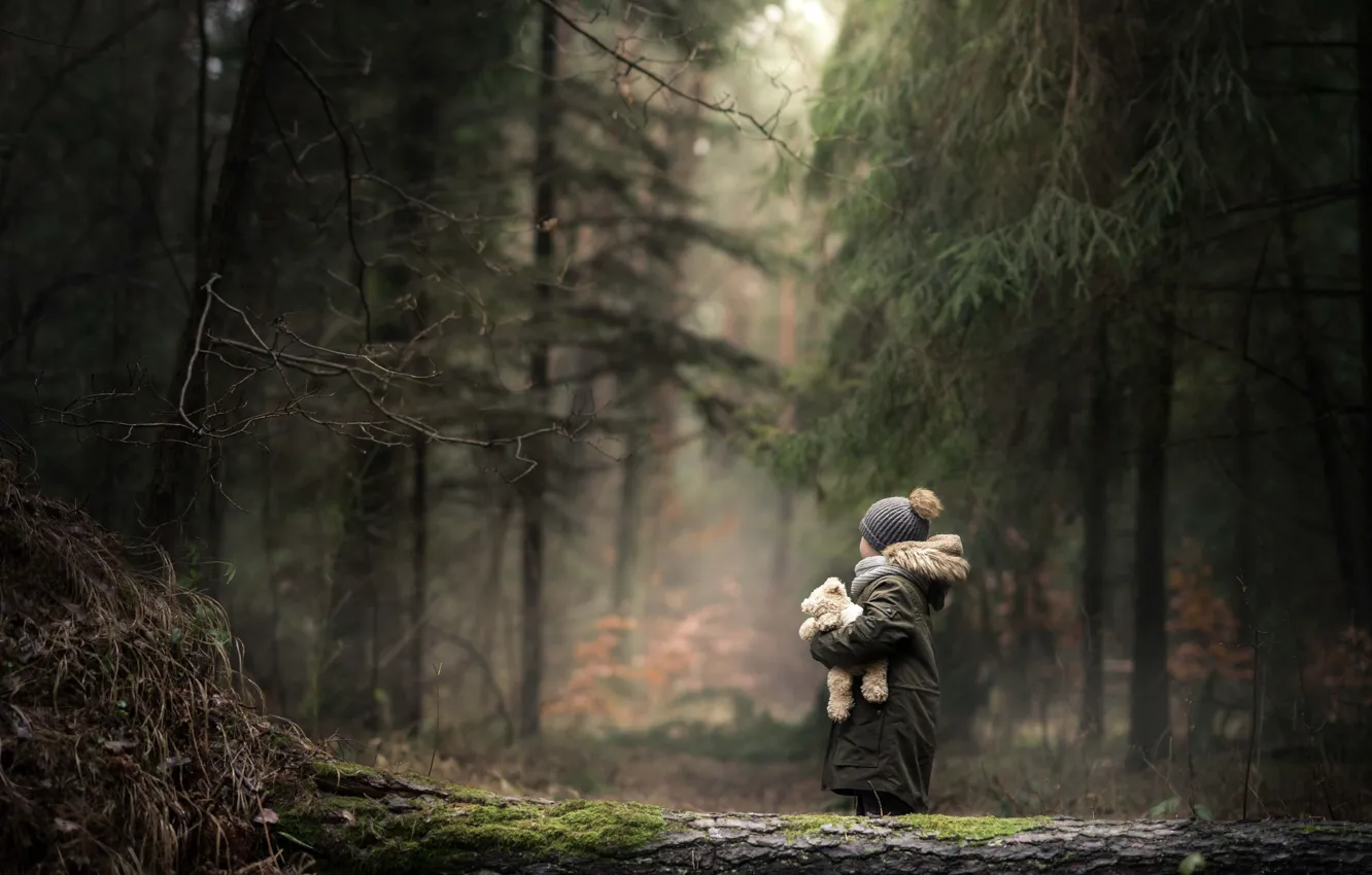 Photo wallpaper forest, toy, child