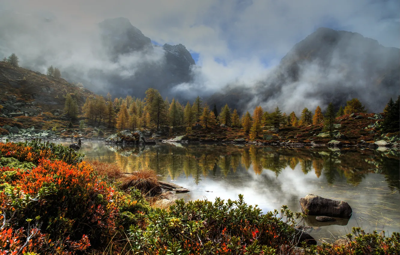 Photo wallpaper forest, trees, mountains, fog, lake, stones, Switzerland, the bushes