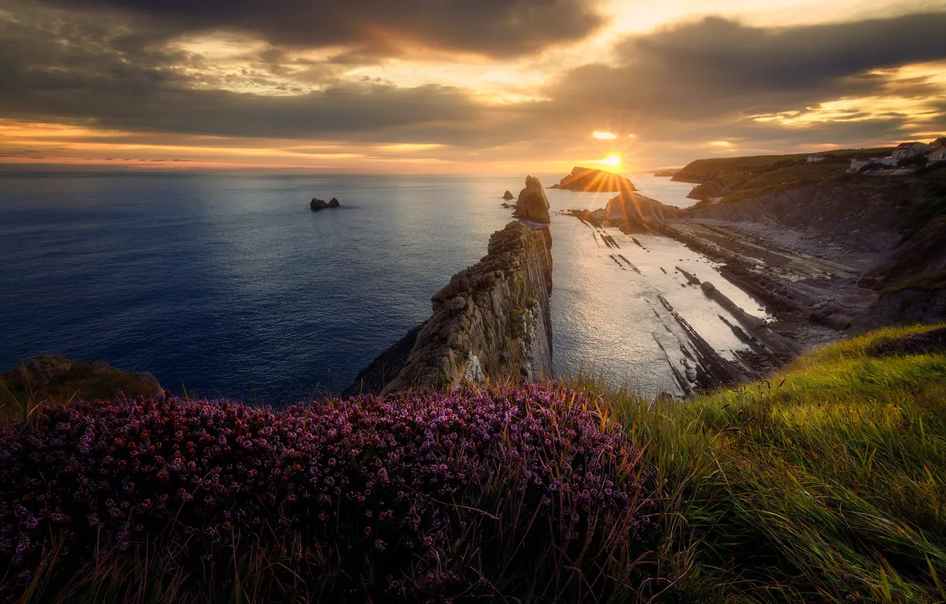 Photo wallpaper sea, grass, the sun, clouds, sunset, flowers, rocks, shore