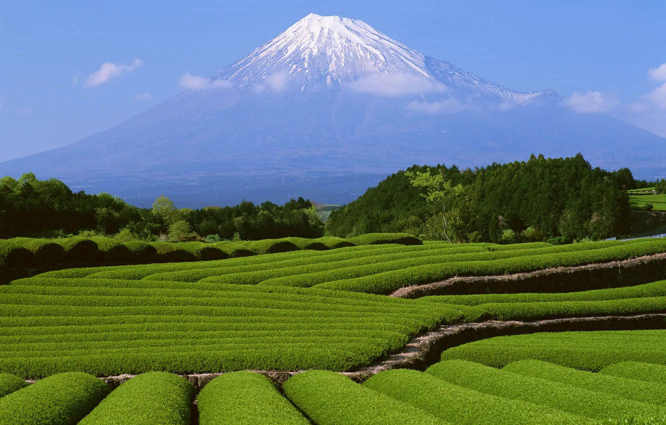 Photo wallpaper Japan, mountain, Fuji