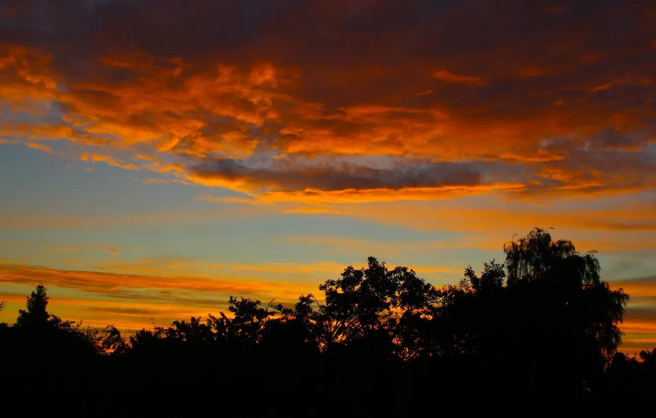Photo wallpaper sky, cloud, cloud - sky