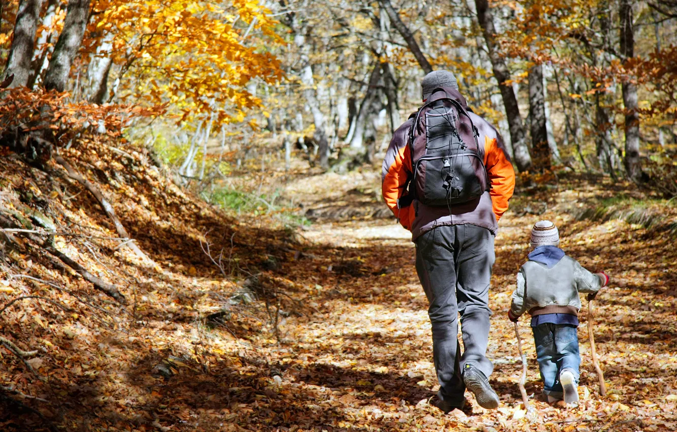 Photo wallpaper child, adult, Forest, Hiking, father and son