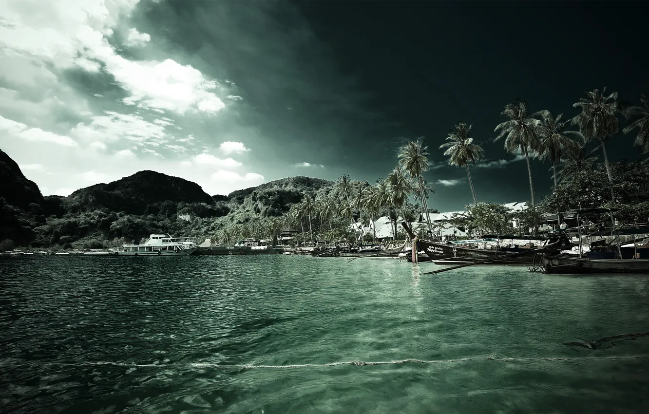 Photo wallpaper sea, beach, palm trees