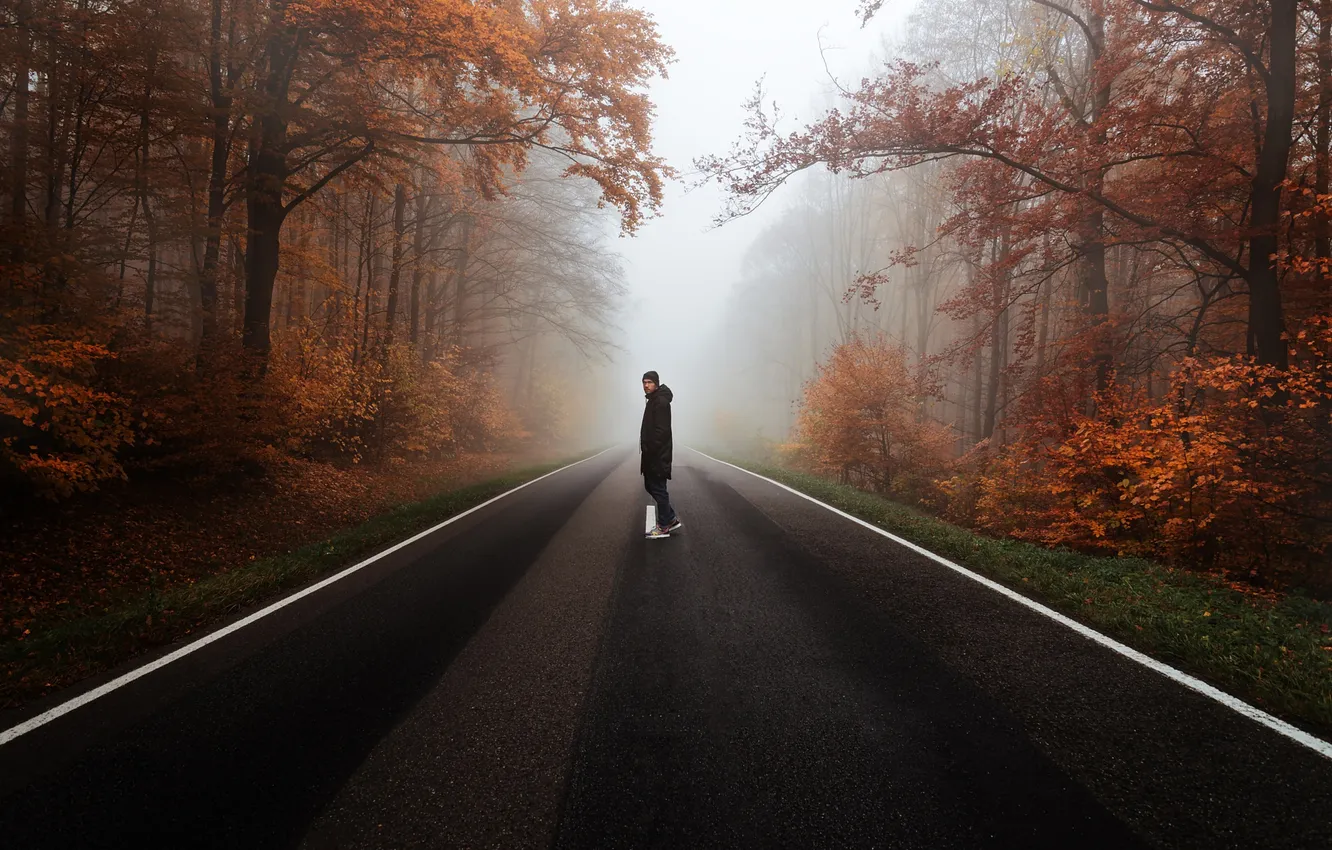 Photo wallpaper road, forest, trees, fog, people, skateboard