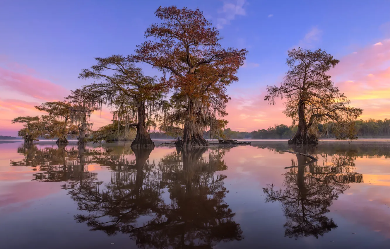 Photo wallpaper the sky, water, clouds, reflection, swamp, dervla