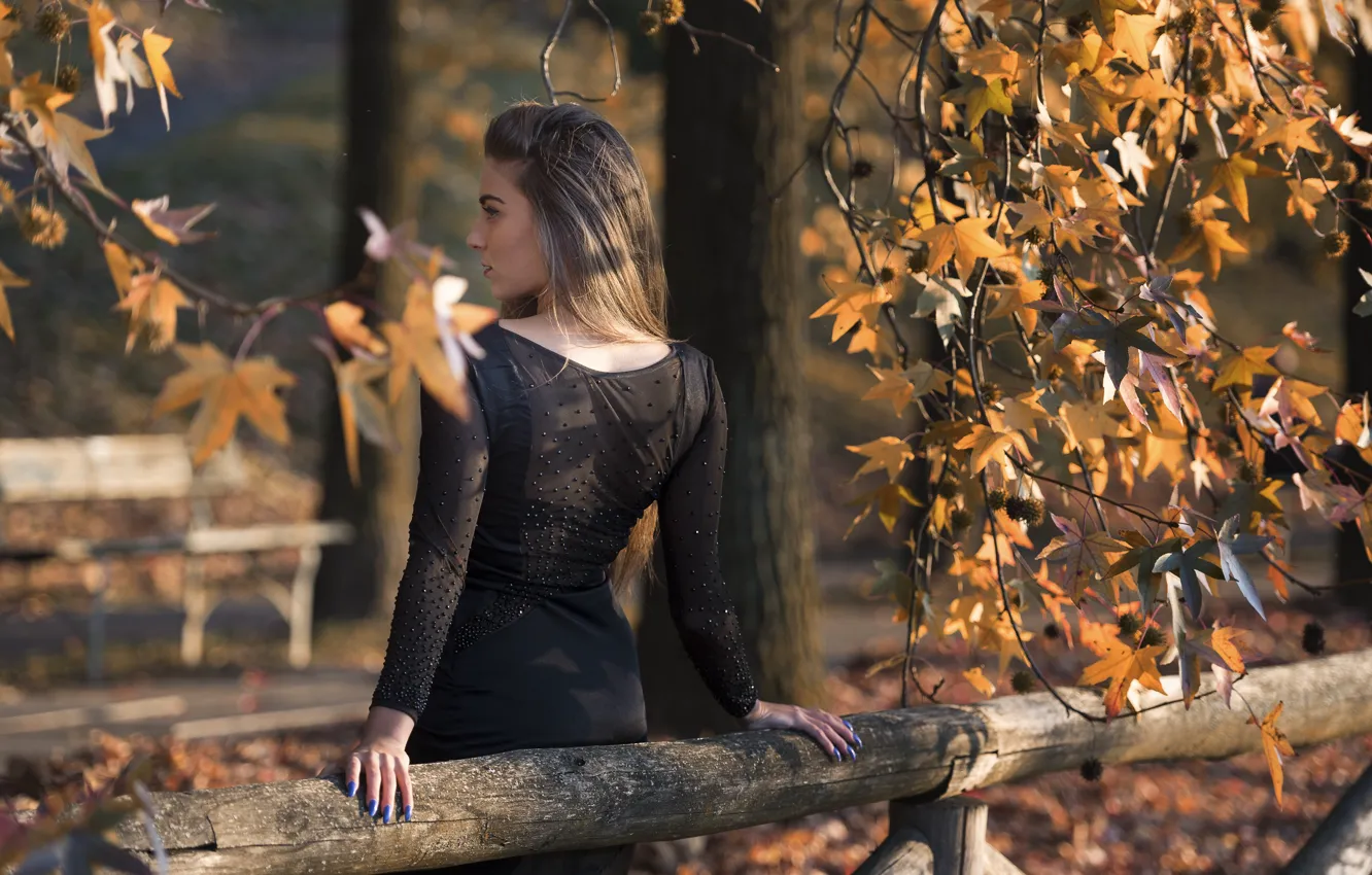 Photo wallpaper autumn, face, Park, model, hair, dress, Federica
