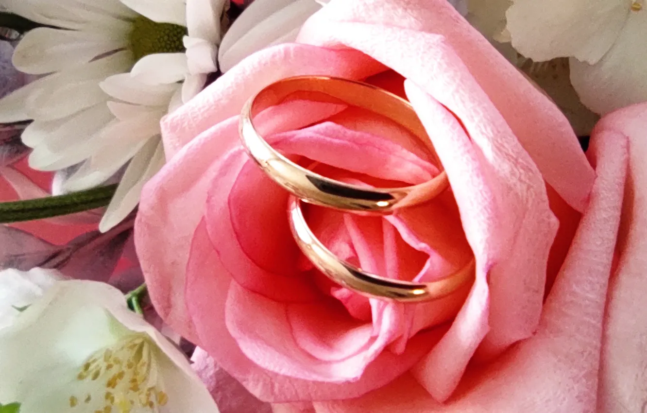 Photo wallpaper macro, ring, caity