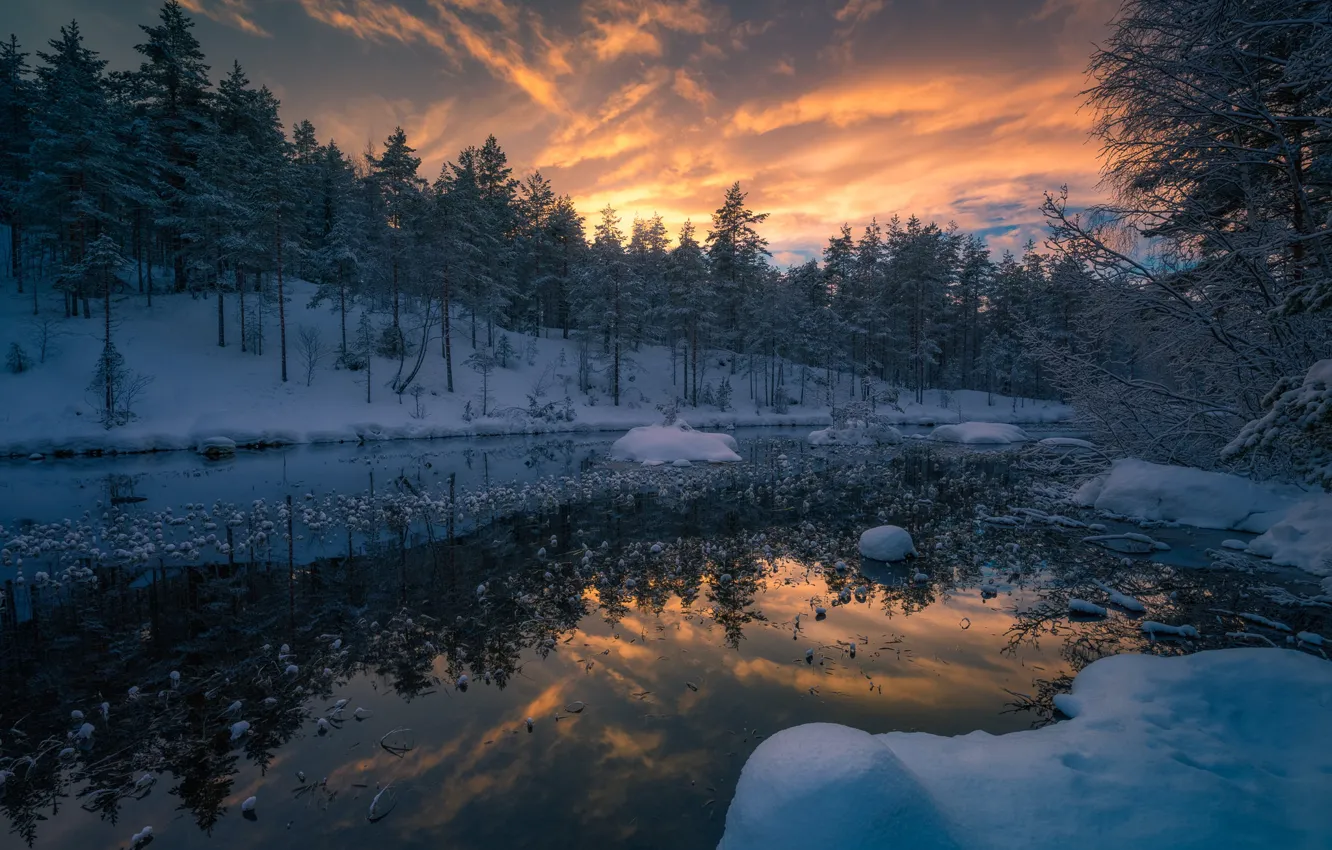 Photo wallpaper winter, forest, snow, trees, sunset, river, Norway, Norway