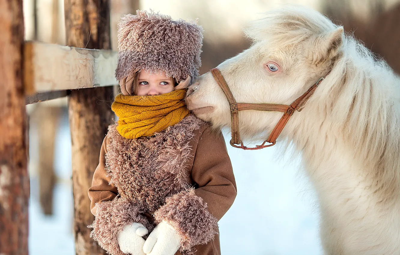 Photo wallpaper girl, winter, horse