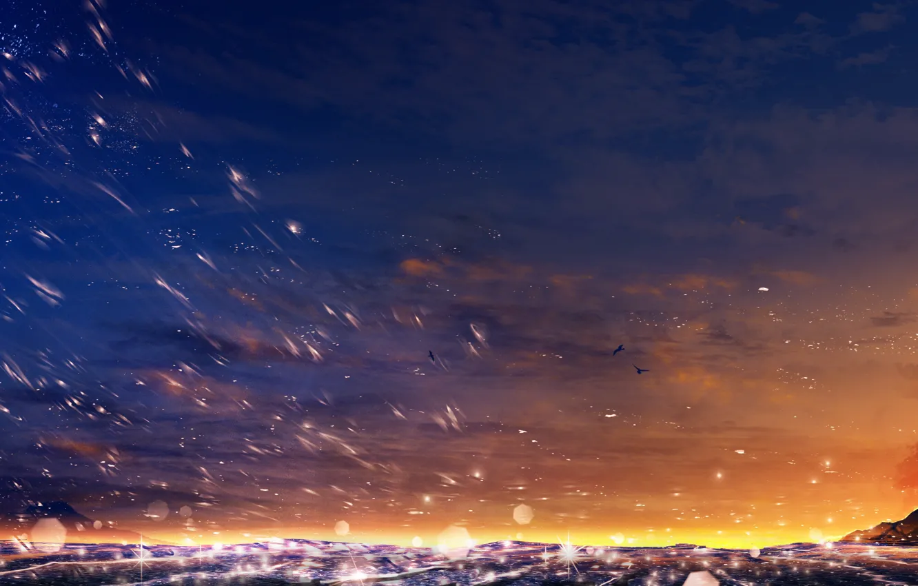 Photo wallpaper sea, the sky, sunset, nature, bird, Y_Y