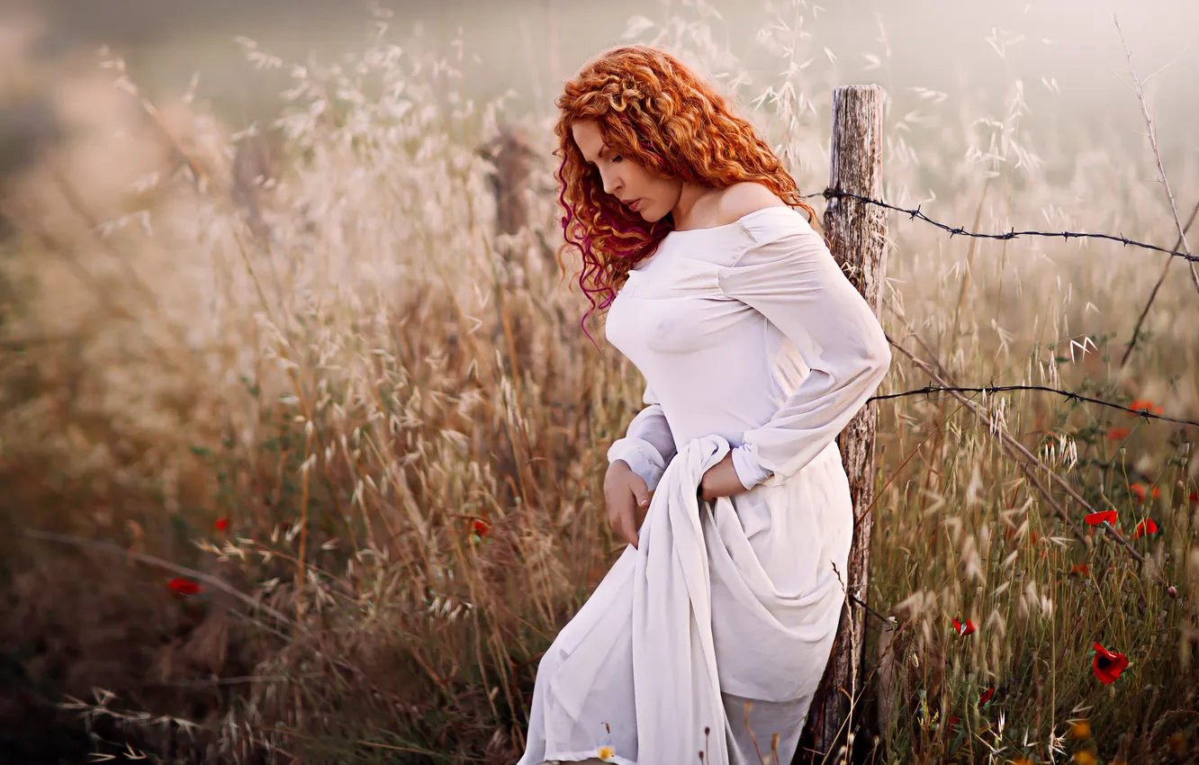 Photo wallpaper field, girl, the fence