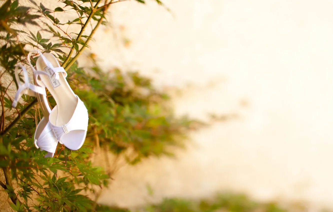 Photo wallpaper light, branches, boots