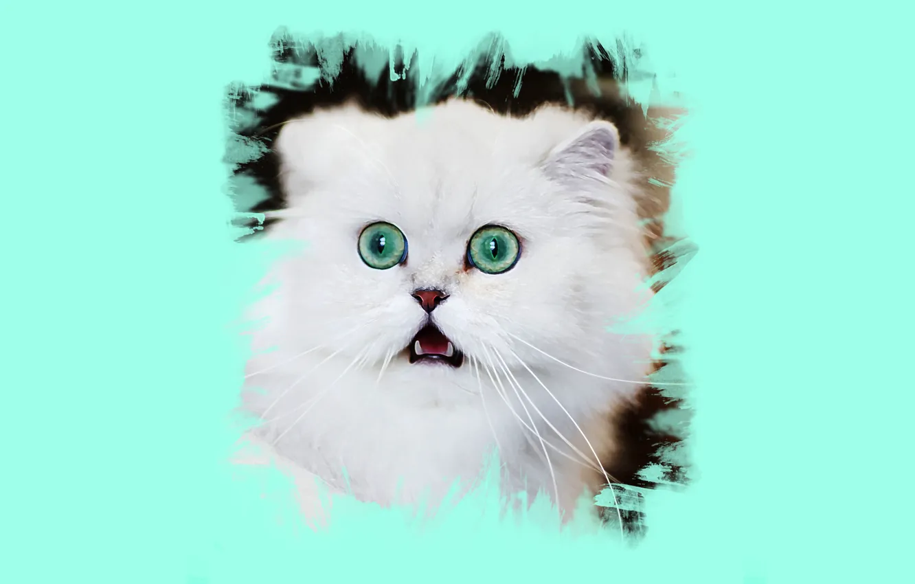 Photo wallpaper cat, eyes, mustache, art
