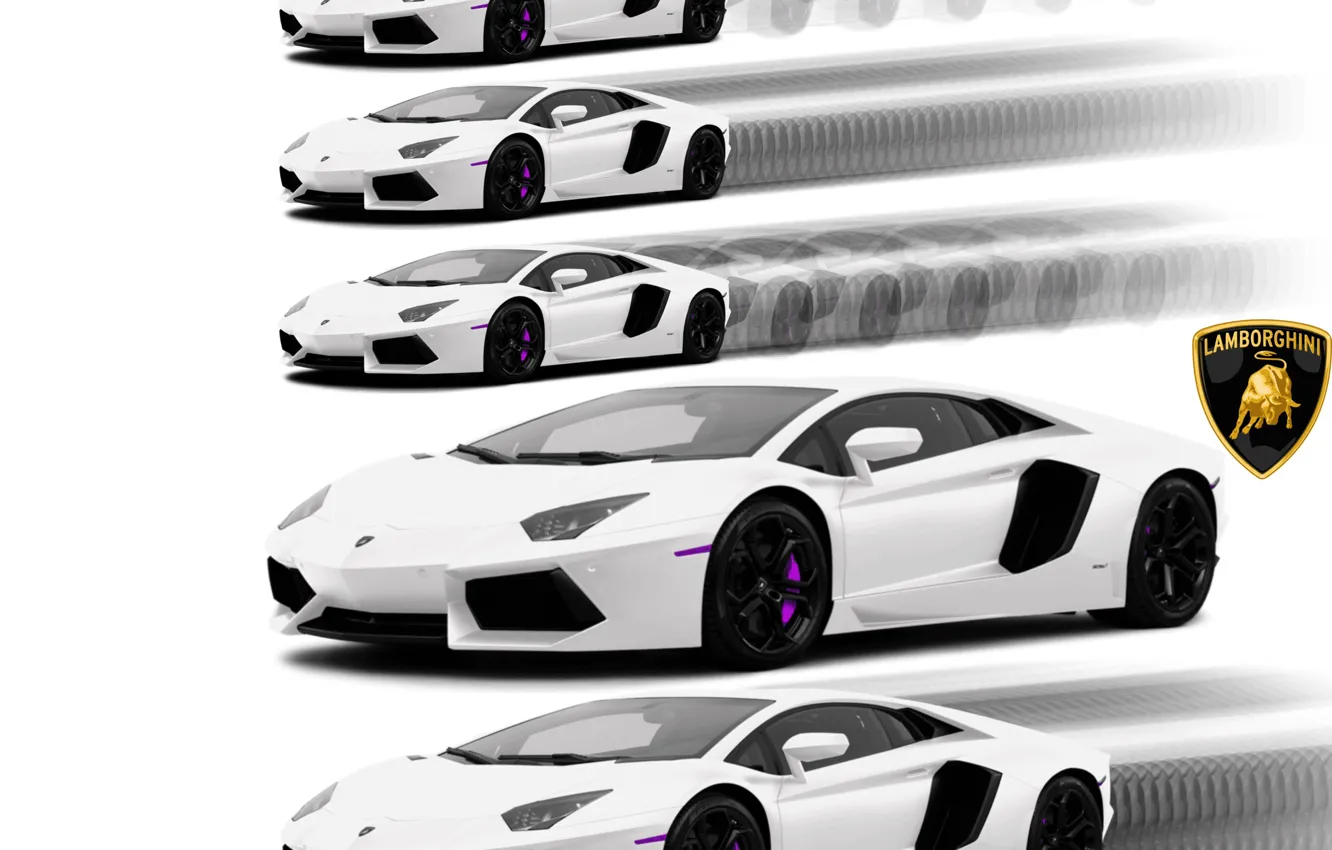 Photo wallpaper white, Lamborghini, art, white background, supercar, Lamborghini, Supercar