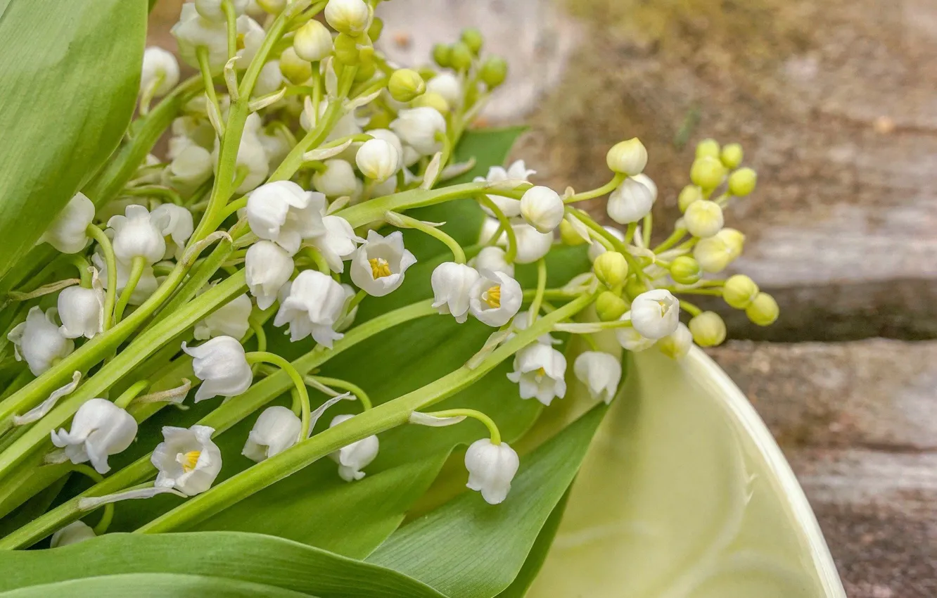 Photo wallpaper Sweet, Lily of the valley, Cards, Floral, Aroma, Fragrant