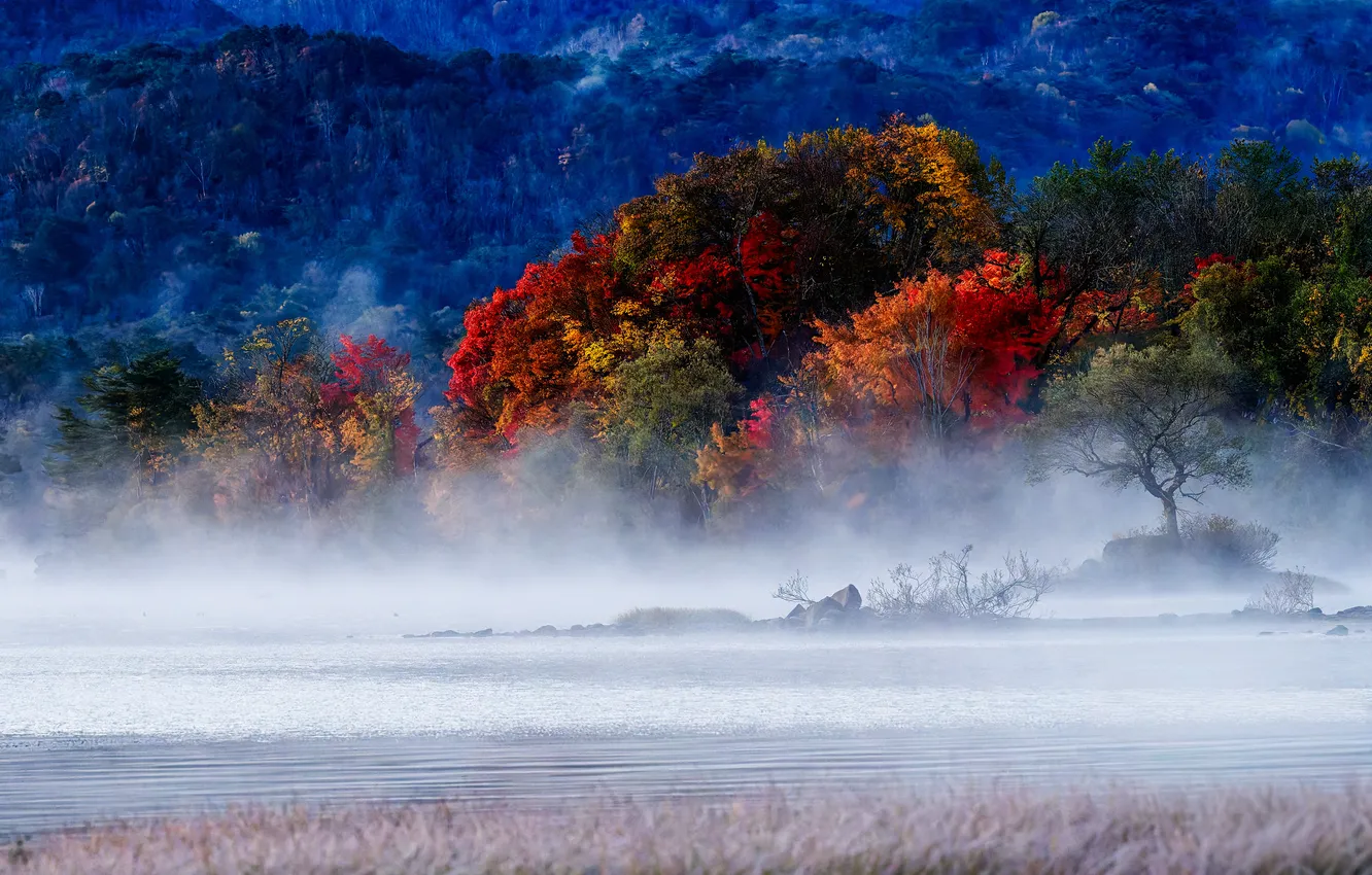 Photo wallpaper lake, dawn, mist, melody, hibara