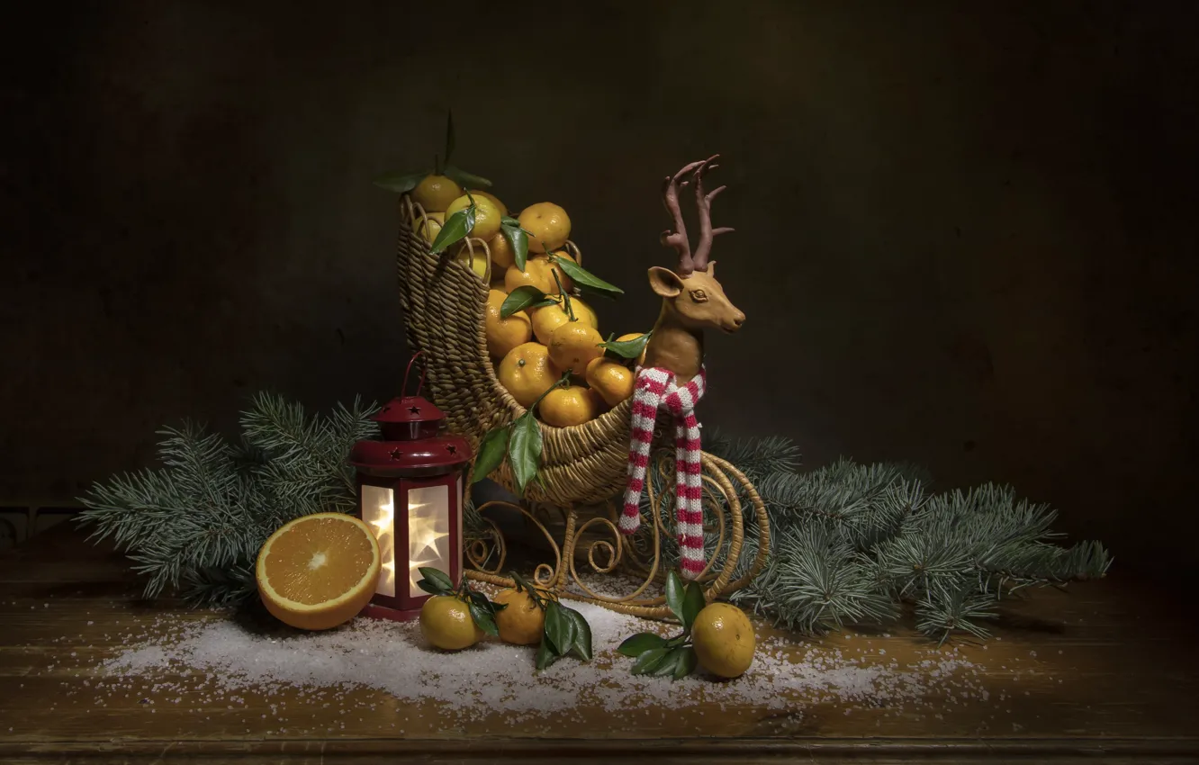 Photo wallpaper orange, spruce, citrus, still life, tangerines