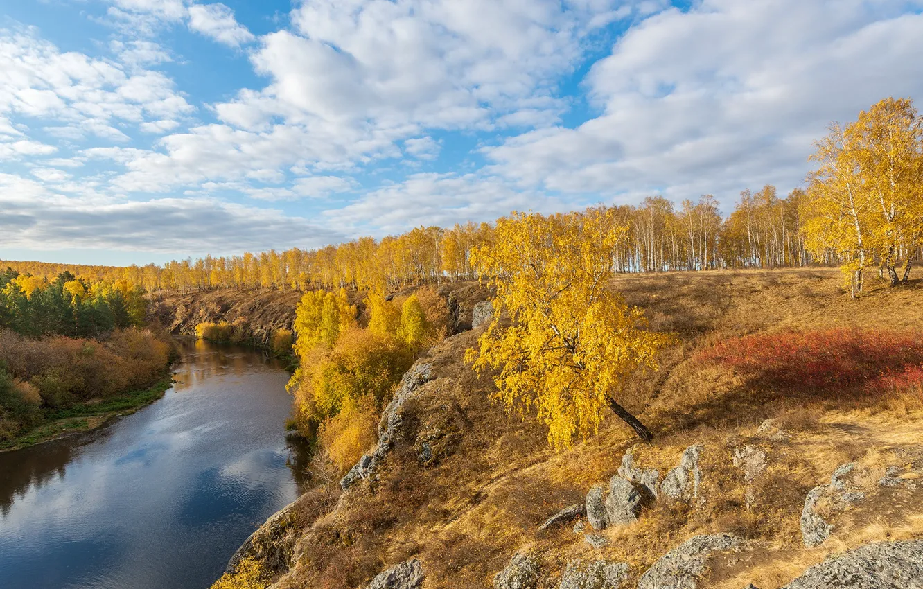 Photo wallpaper autumn, forest, landscape, nature, river, shore
