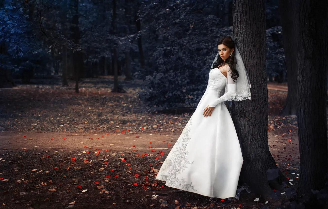Photo wallpaper style, Park, dress, the bride, wedding