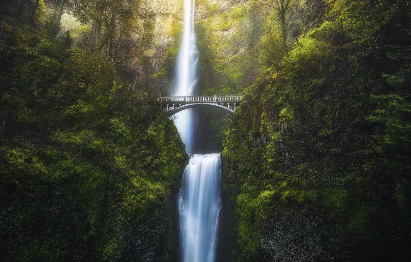 Photo wallpaper greens, bridge, rocks, vegetation, waterfall, the bridge, cliff