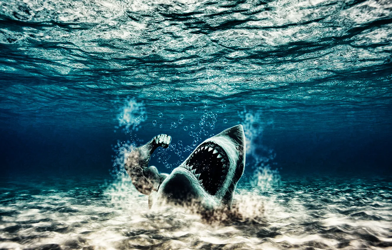 Photo wallpaper water, shark, Jock, mutant