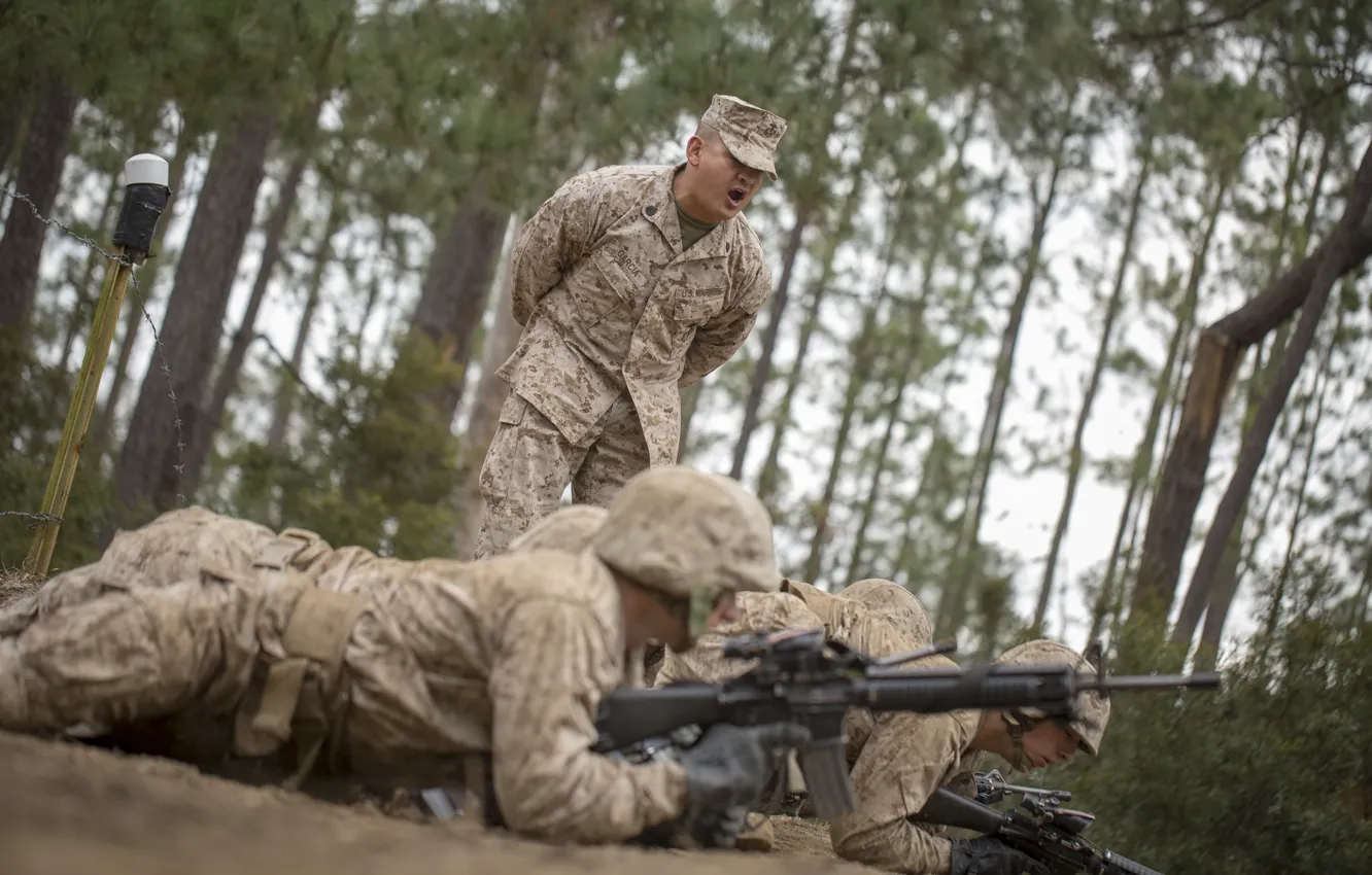 Photo wallpaper military, training, Shouting, firearms, armed forces, orders