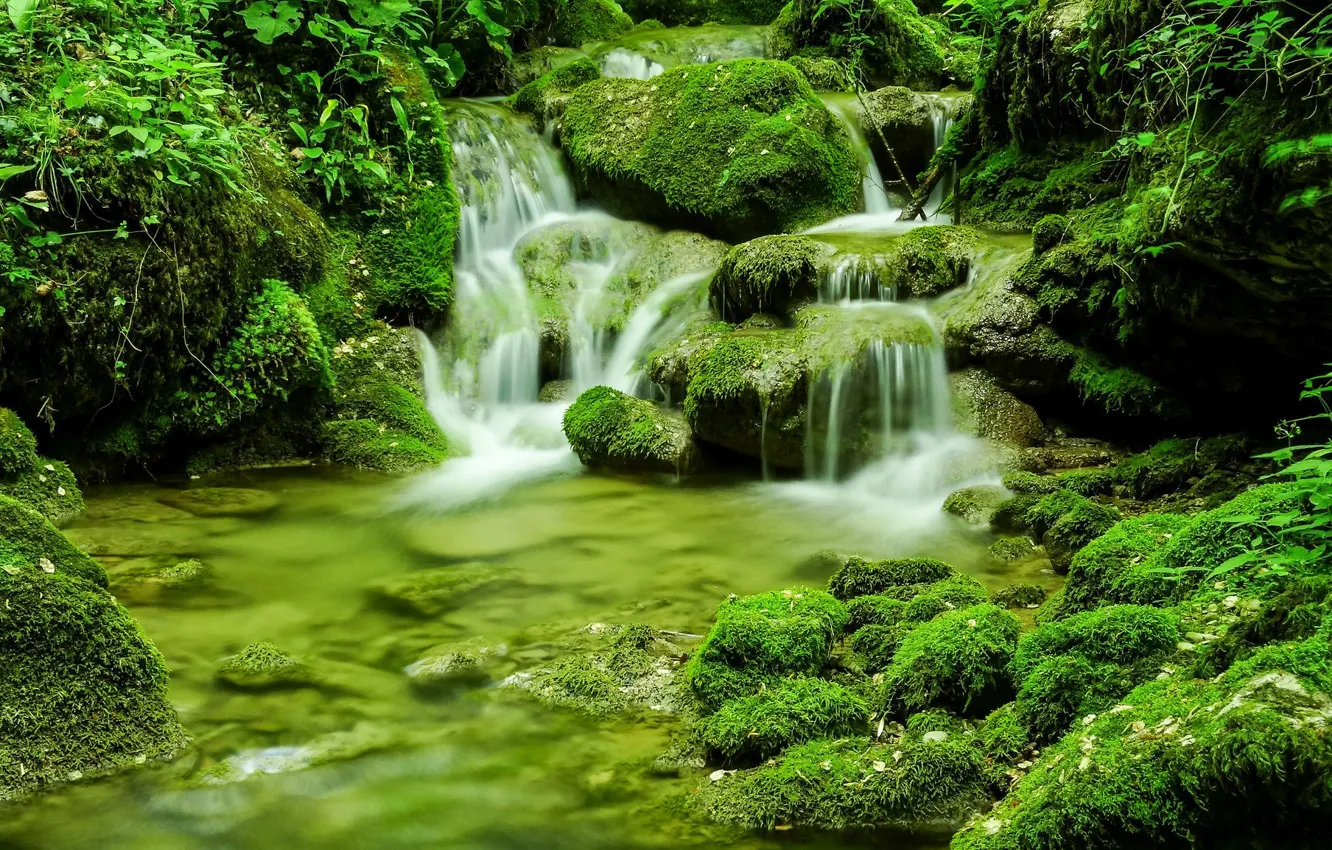 Photo wallpaper greens, stream, stones, moss, Italy, Italy, Friuli-Venezia Giulia, Friuli — Venezia Giulia