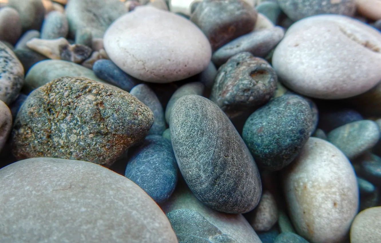 Photo wallpaper beach, macro, nature, stones