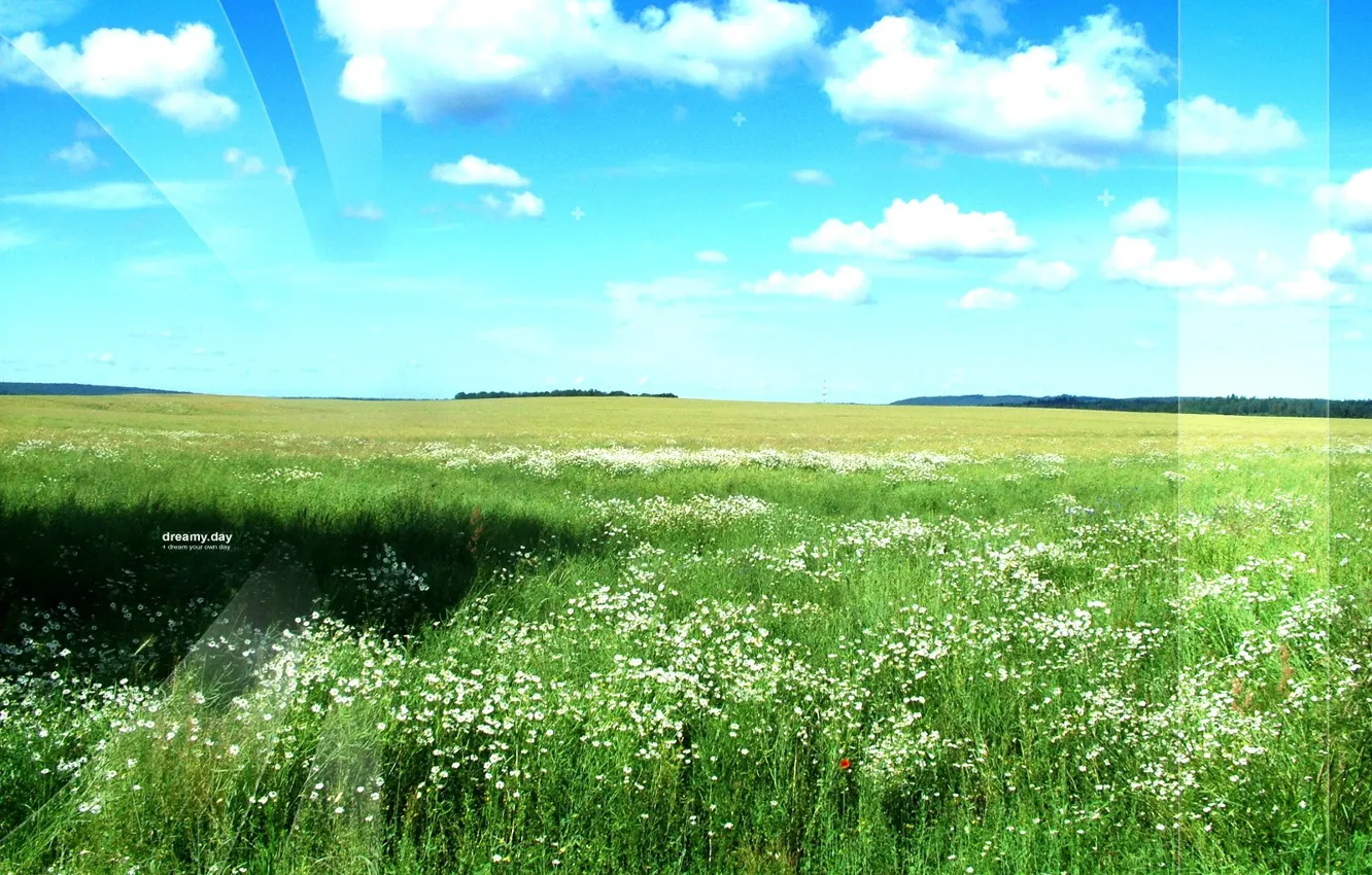 Photo wallpaper greens, field, the sky