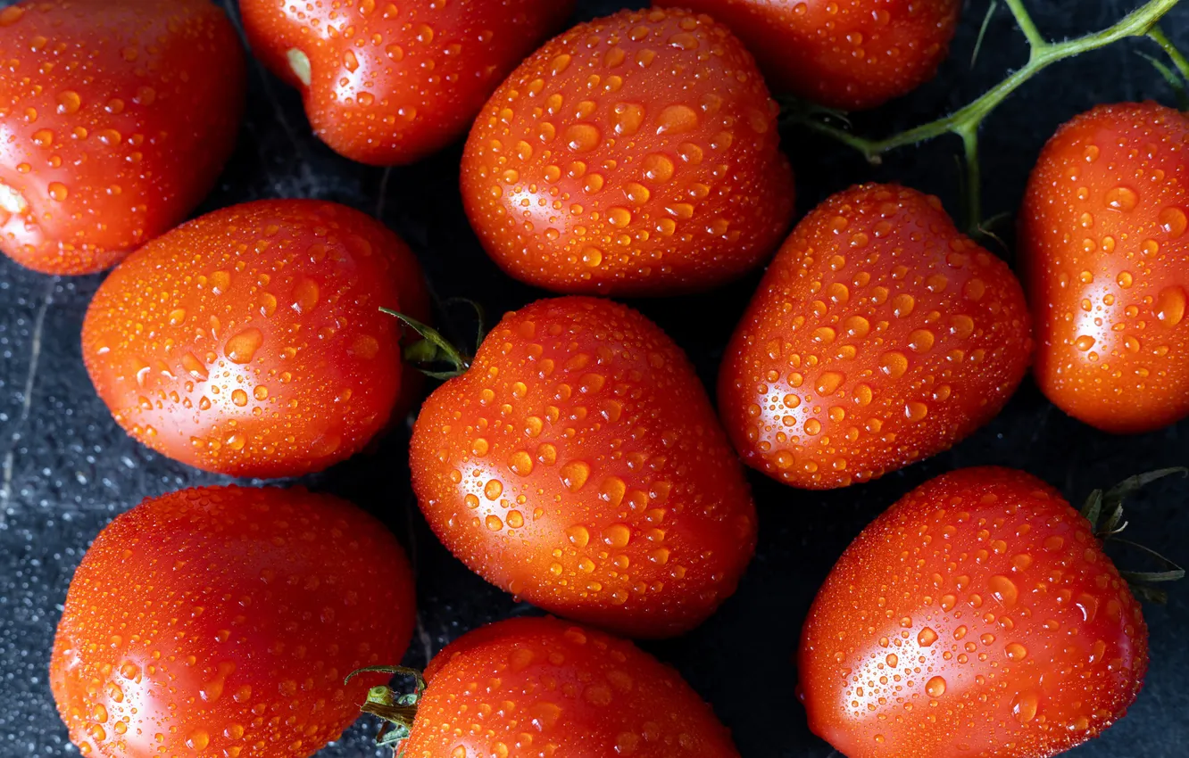 Photo wallpaper drops, tomatoes, tomatoes