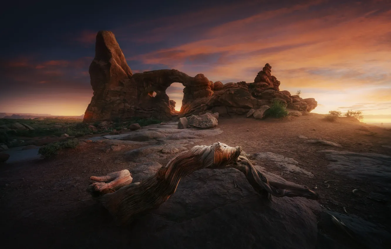 Photo wallpaper light, nature, rocks, the evening, USA, stick