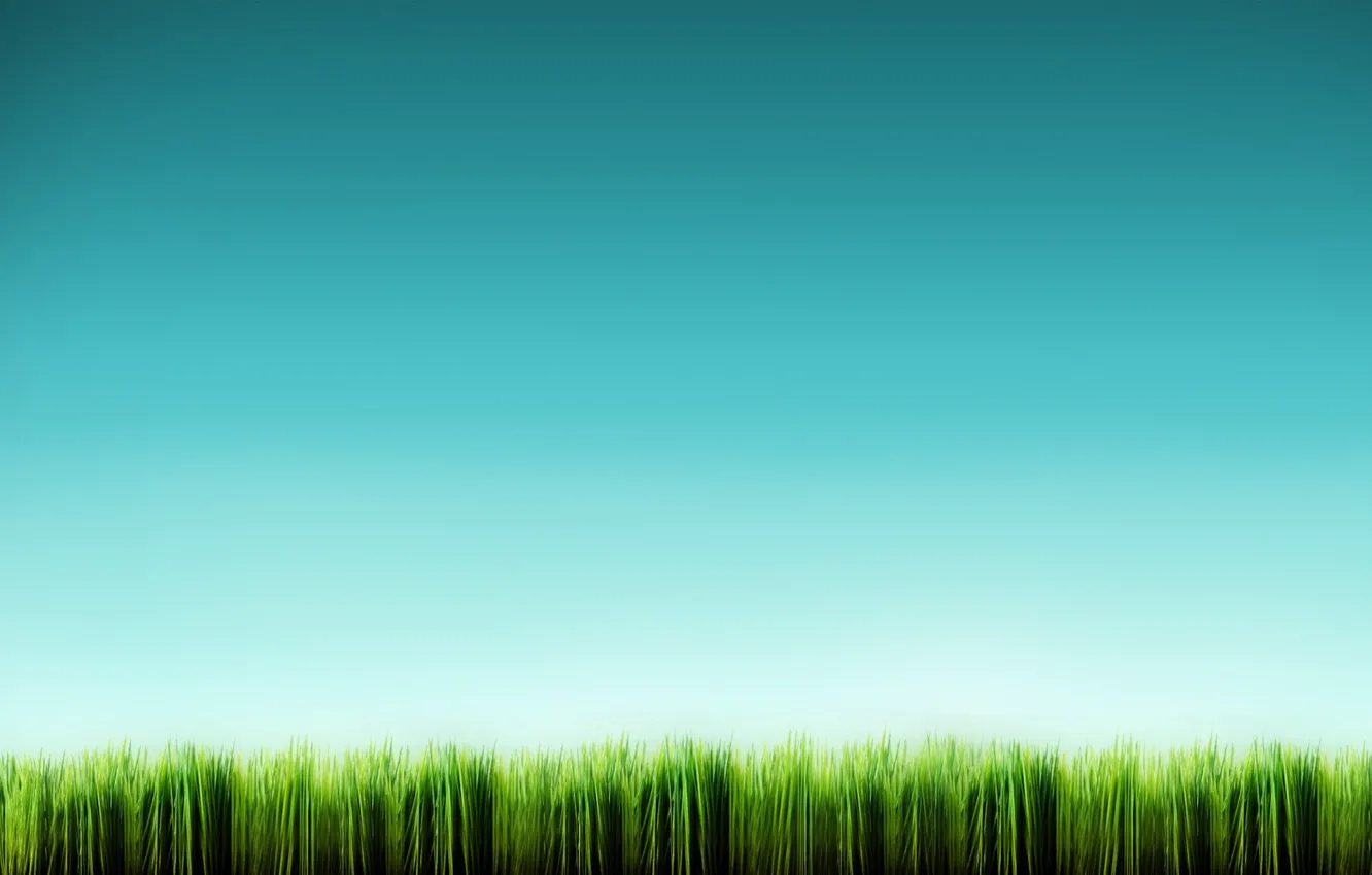 Photo wallpaper blue, minimalism, Grass
