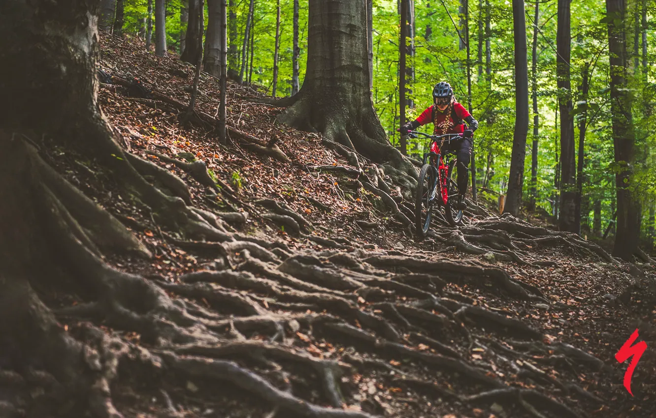 Photo wallpaper forest, girl, nature, bike, roots, sport, track, helmet