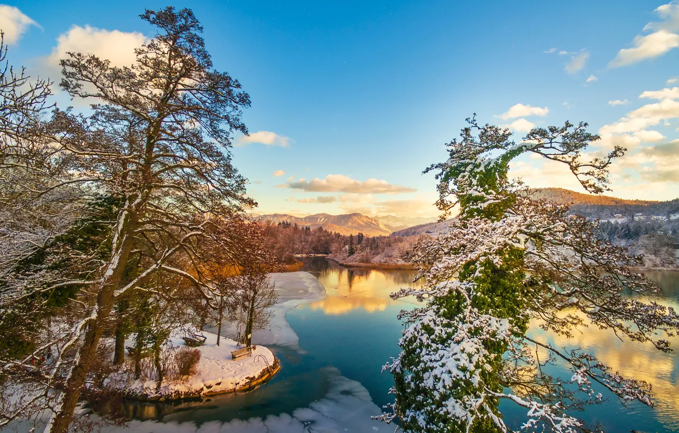 Photo wallpaper winter, trees, lake, Austria, panorama, pine, Austria, Wörthersee