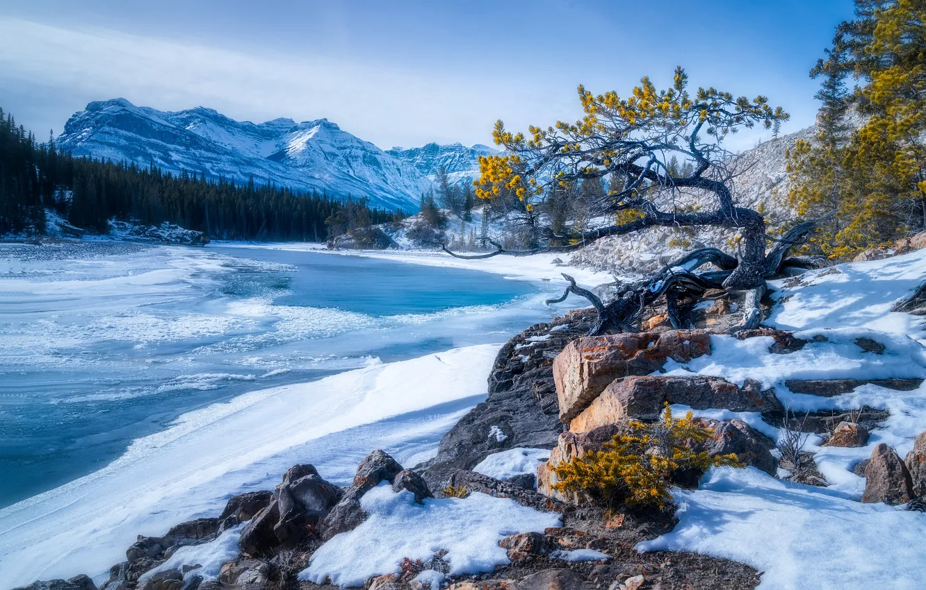 Photo wallpaper winter, snow, mountains, branches, nature, river, stones, tree