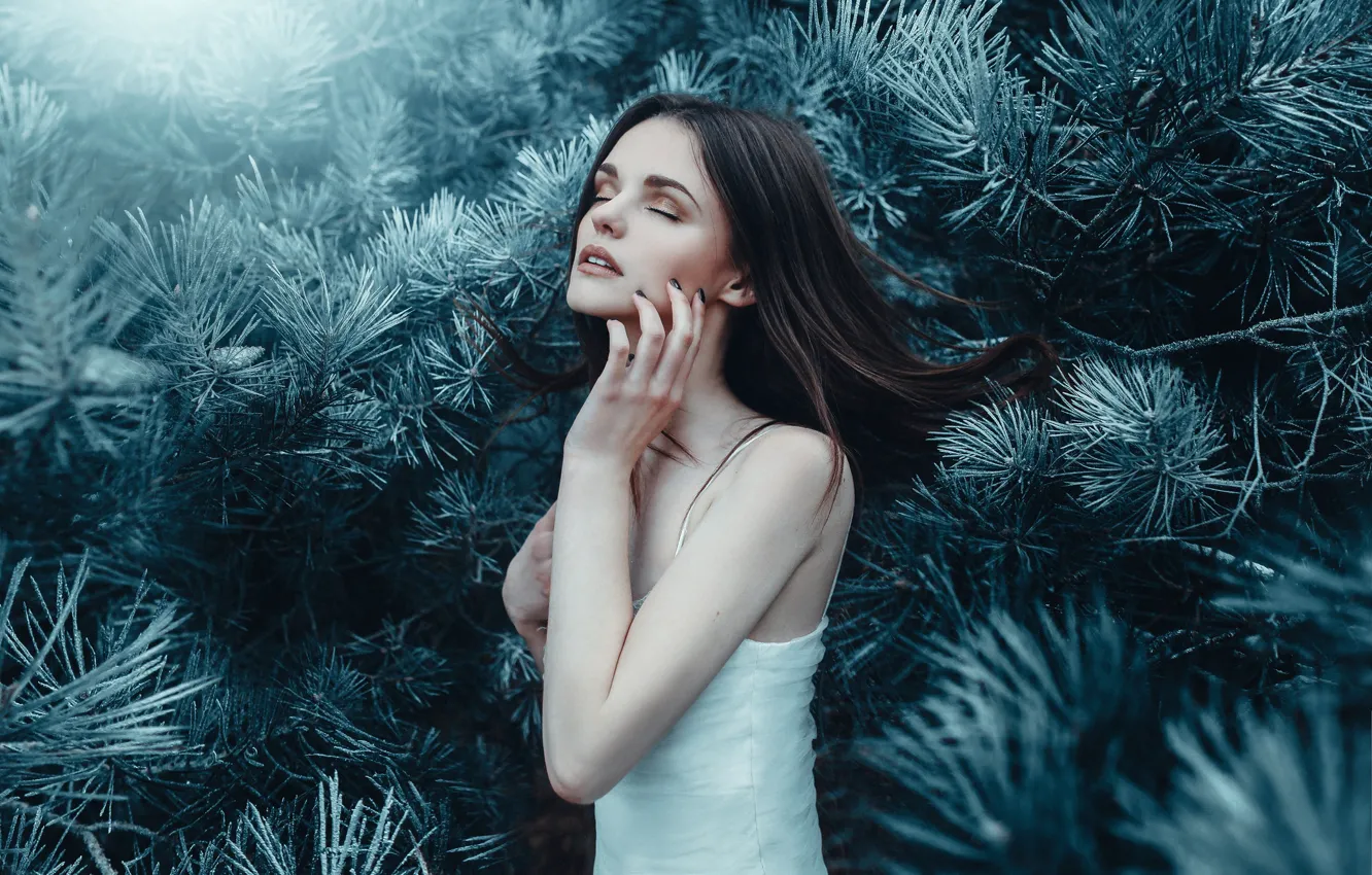 Photo wallpaper sponge, needles, Winter Wonderland, bumps, Bird Man