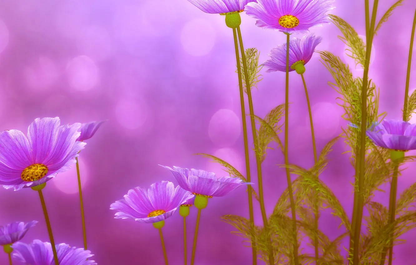 Photo wallpaper leaves, flowers, green, green, beauty, spring, pink, pink