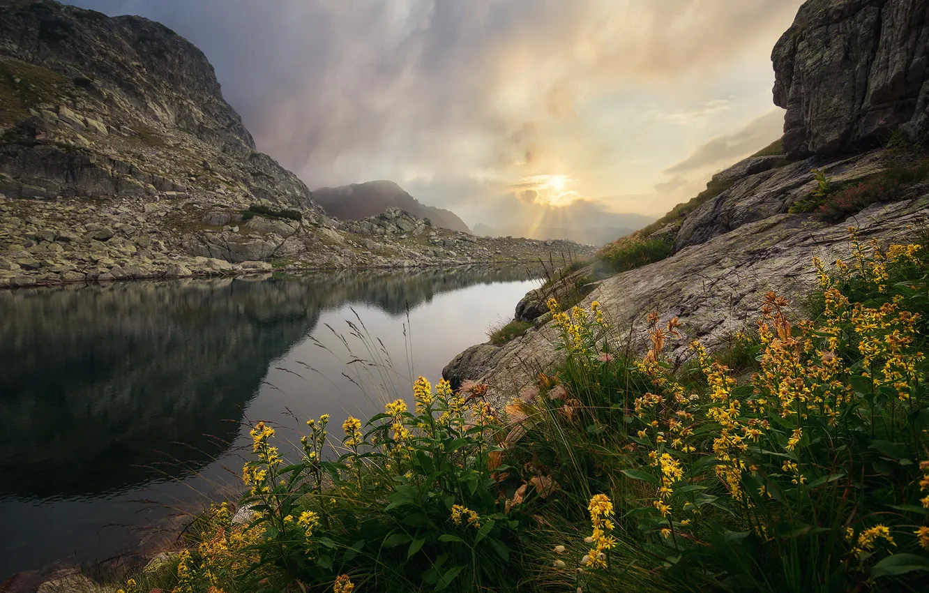 Photo wallpaper flowers, mountains, clouds, lake, stones, rocks, the rays of the sun