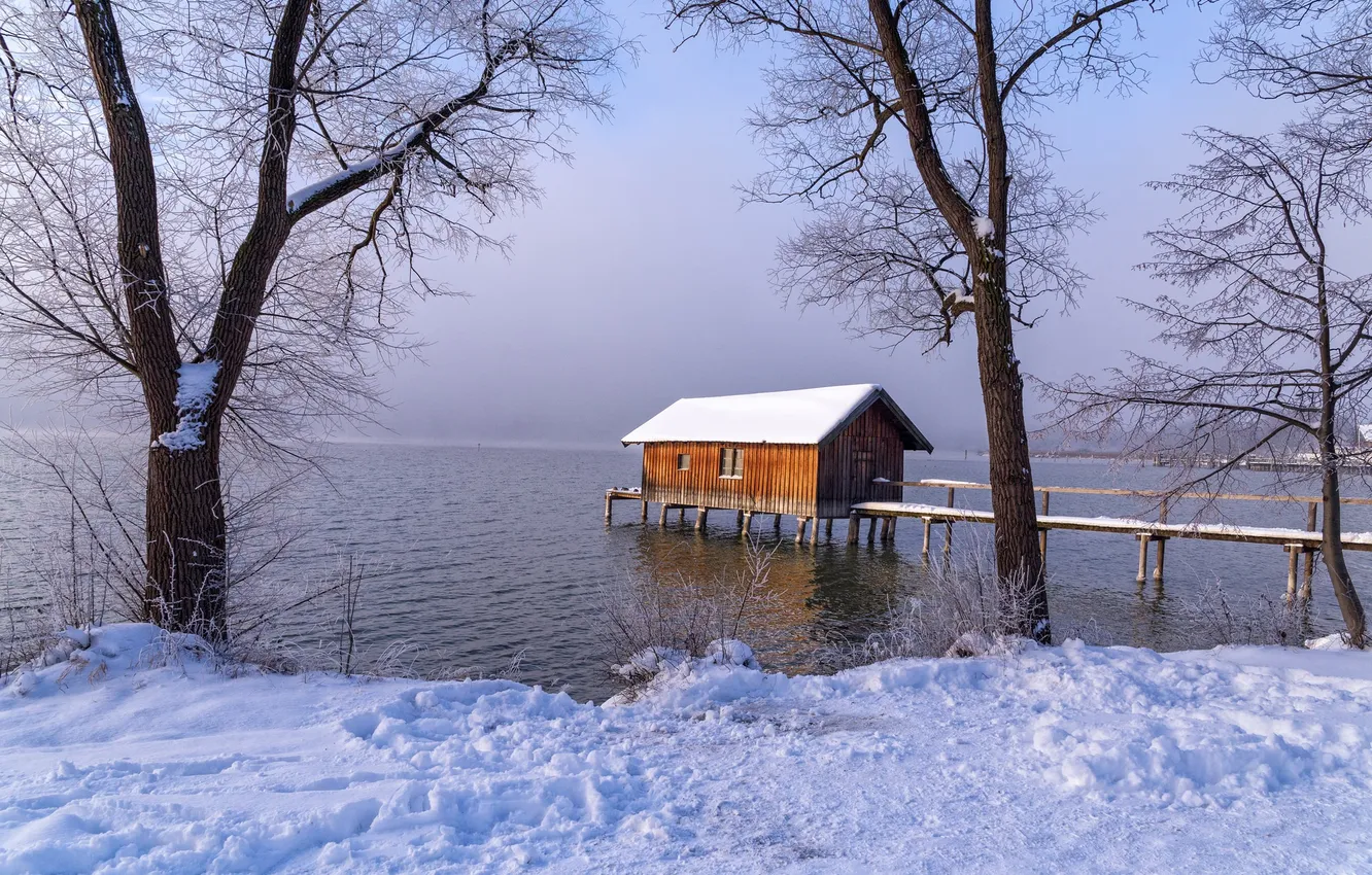 Photo wallpaper winter, snow, trees, fog, lake, pier, house