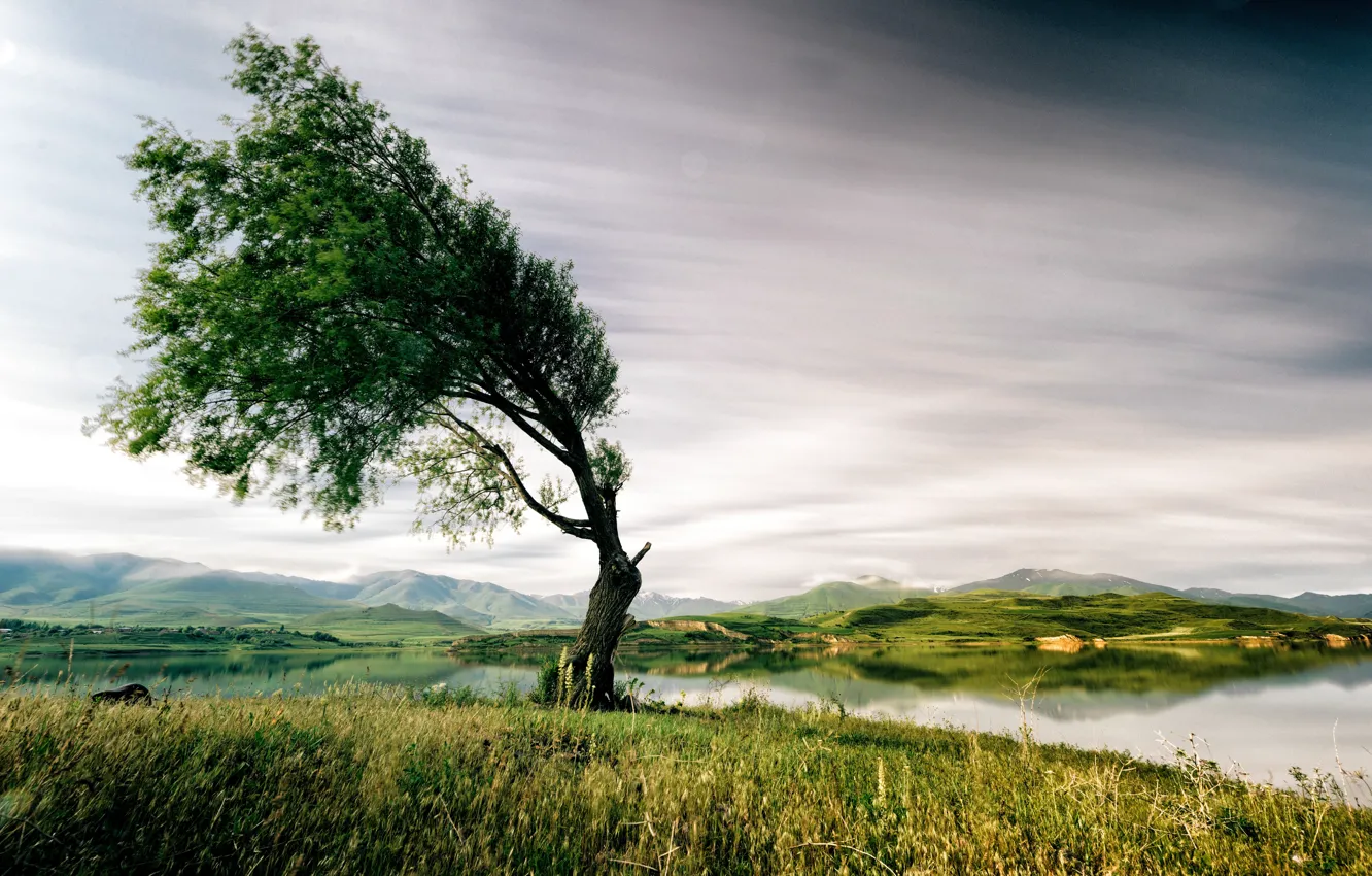 Photo wallpaper trees, landscape, mountains, lake